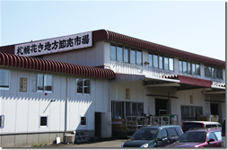 札幌花き地方卸売市場外観