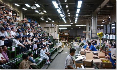 札幌花き地方卸売市場の様子